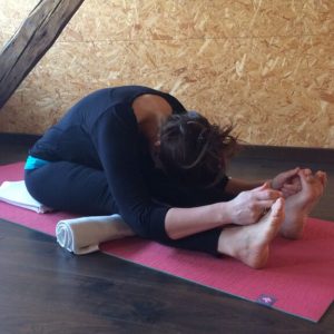 Yoga Teacher Training 200hrs - Online Lessen